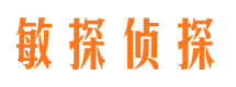 独山市侦探公司